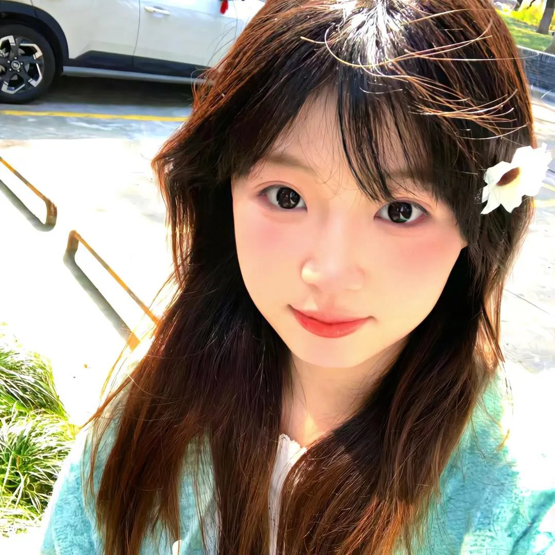 幸福的白天鹅